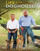 Life in the Doghouse (2018) poster