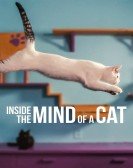poster_inside-the-mind-of-a-cat_tt21340412.jpg Free Download