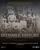 Invisible History: Middle Florida's Hidden Roots Free Download