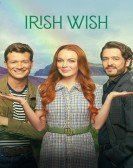 Irish Wish Free Download