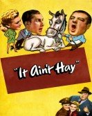 It Ain't Hay Free Download