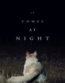 It Comes at Night (2017) Free Download