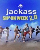 Jackass Shark Week 2.0 Free Download