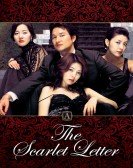 The Scarlet Letter (2004) - 주홍글씨 poster