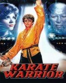 Karate Warri Free Download