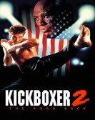 Kickboxer 2:  The Road Back poster