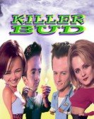 Killer Bud Free Download