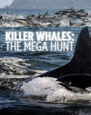 Killer Whales: the Mega Hunt Free Download
