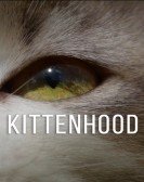Kittenhood Free Download