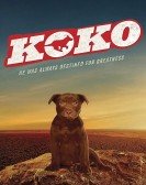 Koko: A Red Dog Story (2019) poster