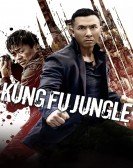 Kung Fu Jungle Free Download