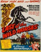 Last of the Wild Horses Free Download