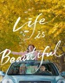 Life Is Beautiful Free Download
