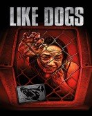 Like Dogs Free Download