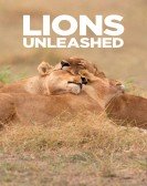 Lions Unleashed Free Download