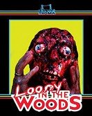 Loony in the Woods poster
