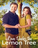 Love Under the Lemon Tree Free Download