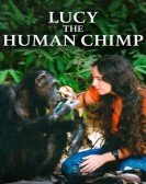 Lucy the Human Chimp Free Download