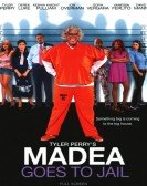 poster_madea-goes-to-jail_tt1142800.jpg Free Download