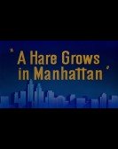 Manhattan Un Free Download