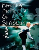 Martial Arts of Shaolin Free Download