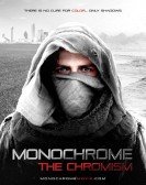 Monochrome: The Chromism poster
