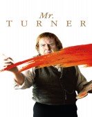 Mr. Turner (2014) poster