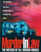 Murder in Law poster