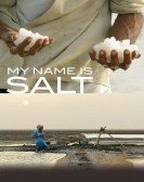 My Name Is Salt poster