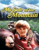 poster_my-side-of-the-mountain_tt0064708.jpg Free Download