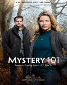 Mystery 101 poster