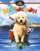 Napoleon (1995) Free Download
