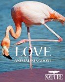 Nature: Love in the Animal Kingdom poster
