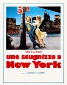 Neapolitan Boy in New York poster