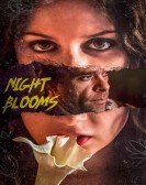 Night Blooms Free Download