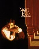 Night Falls on Manhattan Free Download