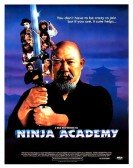 Ninja Academy Free Download