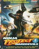 Ninja Project Daredevils poster