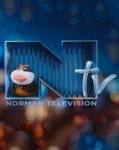 Norman Telev poster