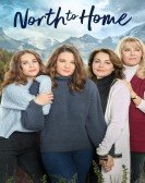 North to Home poster