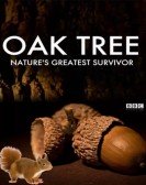 Oak Tree: Nature's Greatest Survivor Free Download