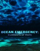 Ocean Emergency: Currents of Hope poster
