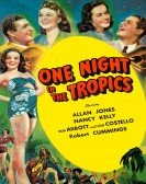 One Night in poster