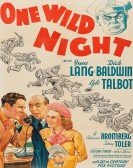 One Wild Night poster
