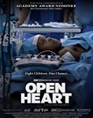 Open Heart Free Download