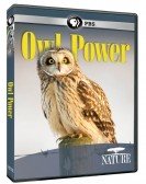 Owl Power poster