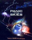 Panic in the Skies poster