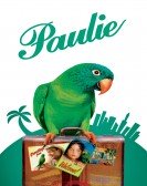 Paulie (1998) Free Download