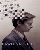 Pawn Sacrifice (2014) Free Download