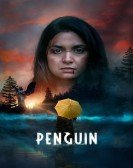 Penguin Free Download